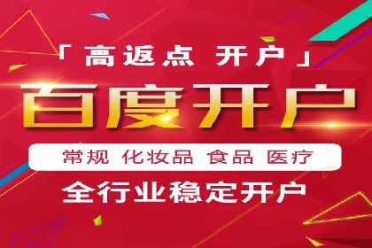 SEM服务优势案例分享